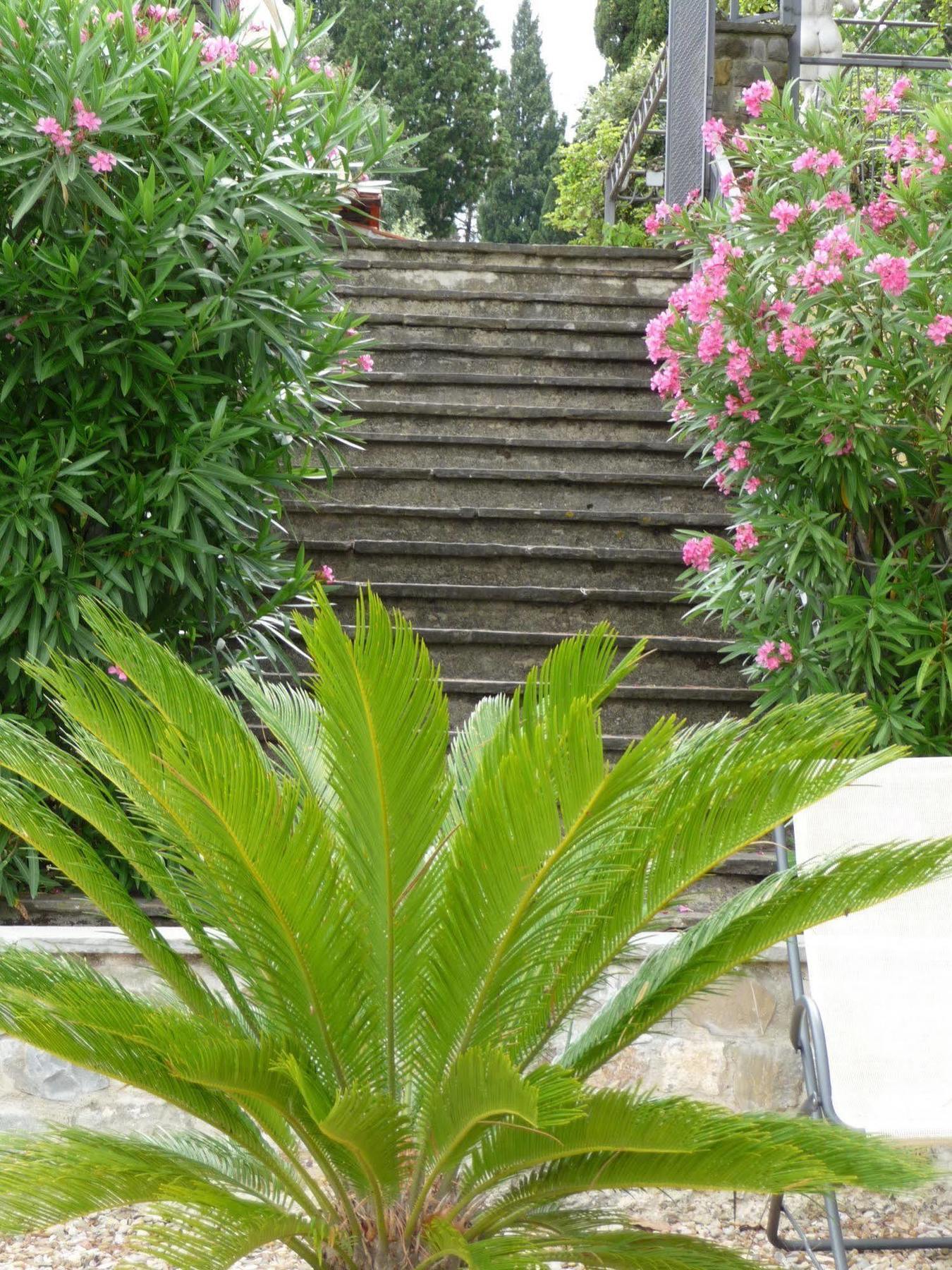 Hotel Villa Dei Bosconi Fiesole Buitenkant foto